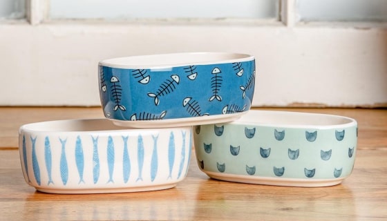 Mask Grьжтдлoup-min Faro Cat Bowl 10 » Pets Impress