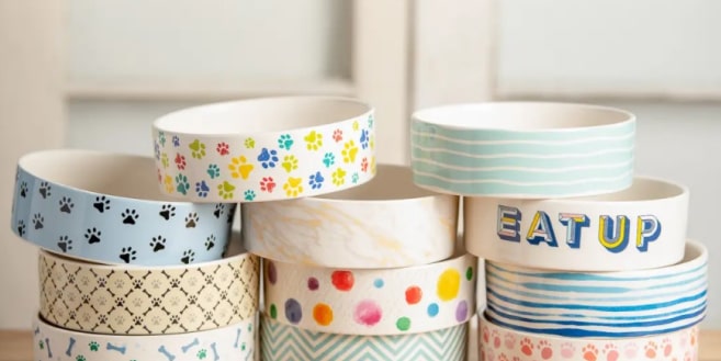 Mask Group-min Faro Cat Bowl 11 » Pets Impress