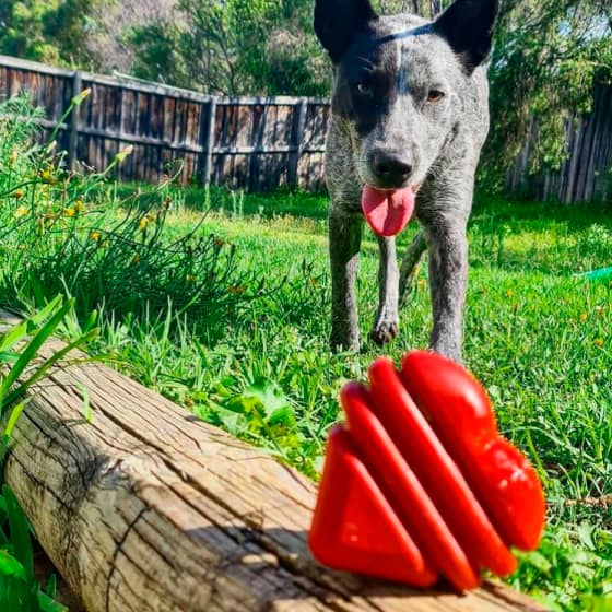 Mask Groюююup Heart on a String - Reward Ball 13 » Pets Impress