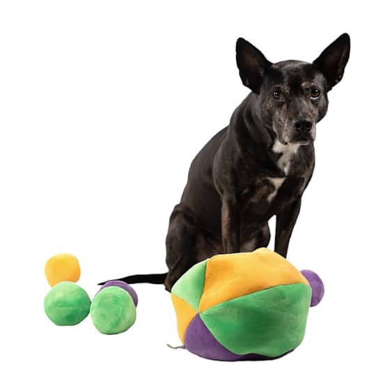 Hide a Ball Dog Puzzle Toy 15 » Pets Impress