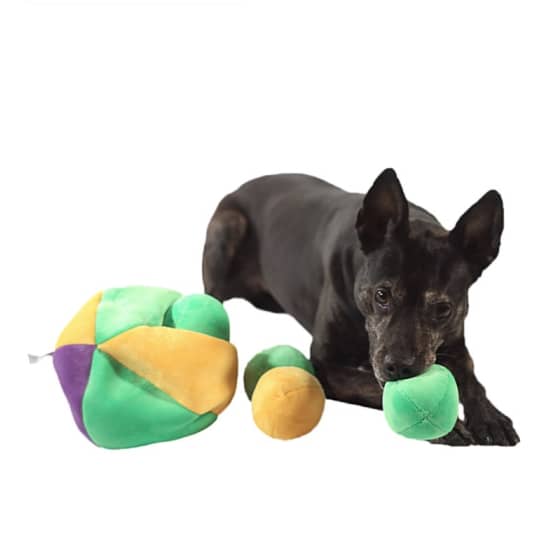 Hide a Ball Dog Puzzle Toy 16 » Pets Impress