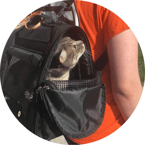 Hideaway Backpack - Black 23 » Pets Impress