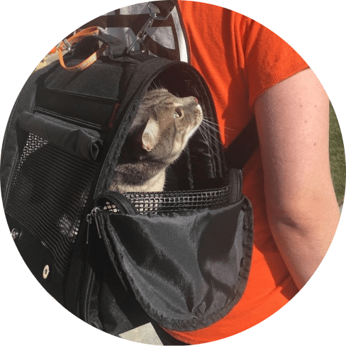 Mask Grooiup-min Hideaway Backpack - Black 23 » Pets Impress