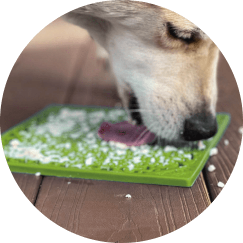 Mask Group-min Jigsaw Design Emat Enrichment Licking Mat - Green 19 » Pets Impress