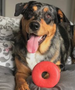 Life Saver - Chew Toy 15 » Pets Impress