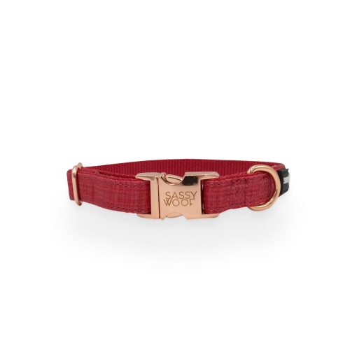 Merlot' Dog Collar 3 » Pets Impress