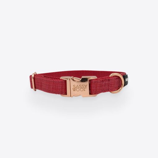 Merlot' Dog Collar 1 » Pets Impress