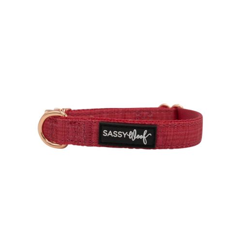 Merlot' Dog Collar 3 » Pets Impress