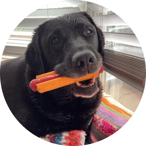 Mask Gro;lkup-min Nylon Hot Dog Chew Toy 18 » Pets Impress