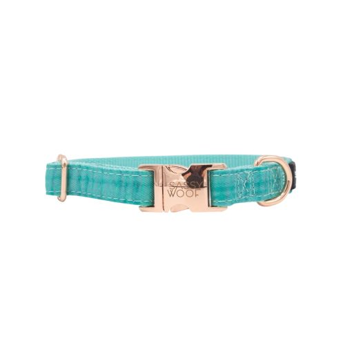 Wag Your Teal' Dog Collar 3 » Pets Impress