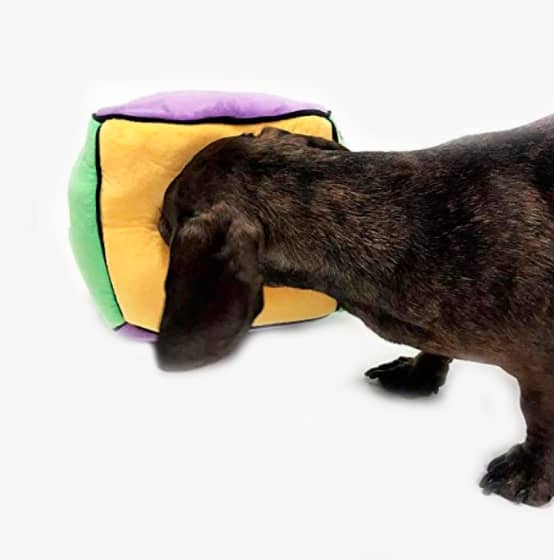 Plush Find a Bone Cube Dog Toy 13 » Pets Impress