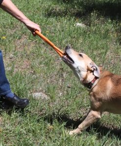 Tug O' War Toy 21 » Pets Impress