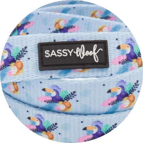 Mamn sk Group-min Tropicana' Dog Fabric Leash 23 » Pets Impress