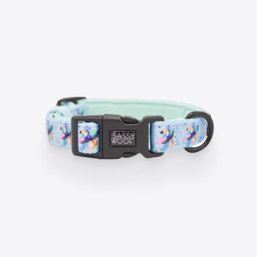 Tropicana' Dog Collar 1 » Pets Impress