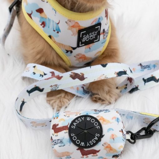 Rainy Dachshund' Dog Fabric Leash 5 » Pets Impress