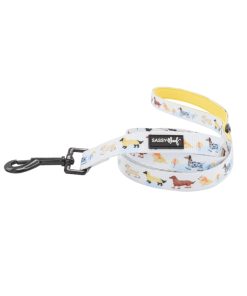 Rainy Dachshund' Dog Fabric Leash 15 » Pets Impress