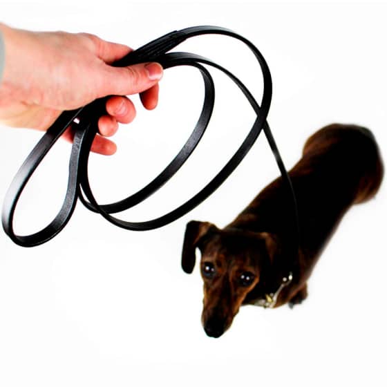 Small Leather Dog Leash 16 » Pets Impress