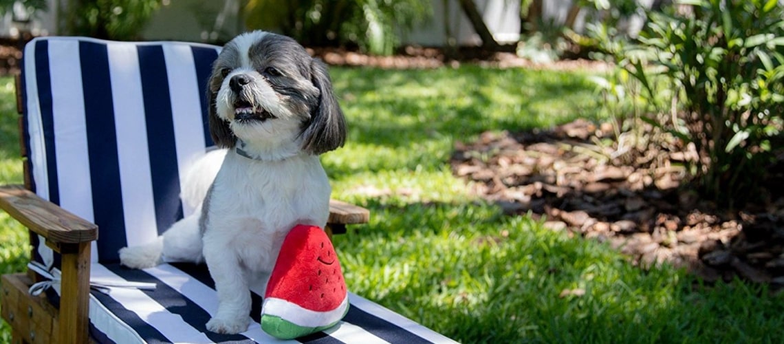 Smiley Watermelon Squeaker Plush Dog Toy 9 » Pets Impress