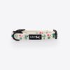 Sass on Point' Dog Collar 15 » Pets Impress