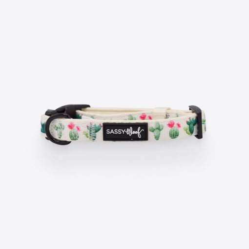 Sass on Point' Dog Collar 1 » Pets Impress