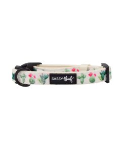 Sass on Point' Dog Collar 5 » Pets Impress