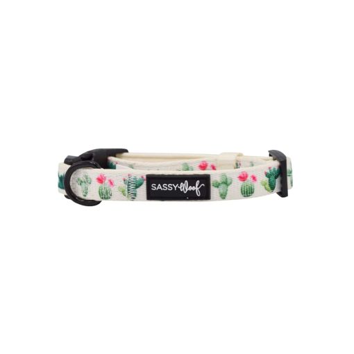 Sass on Point' Dog Collar 2 » Pets Impress