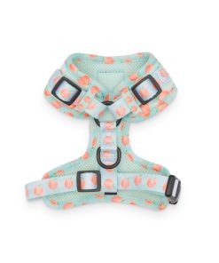 'Peach, Please' Adjustable Dog Harness 3 » Pets Impress