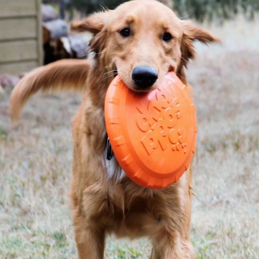 Bottle Top Flyer Toy 2 » Pets Impress
