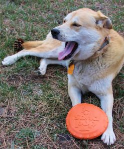 Bottle Top Flyer Toy 10 » Pets Impress