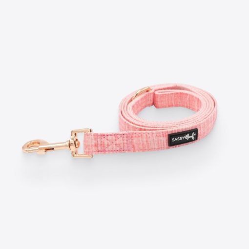 Cool Dolce Rose Dog Fabric Leash 1 » Pets Impress