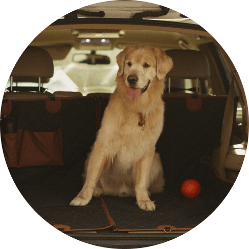 Petsimpress travel buddy dog seat cover