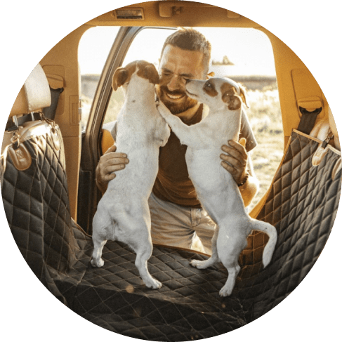 Travel Buddy Dog Seat Cover 22 » Pets Impress