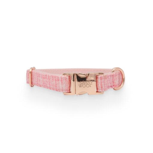 Dolce Rose' Dog Collar 2 » Pets Impress