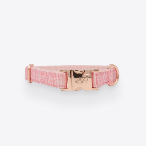 Dolce Rose' Dog Collar 1 » Pets Impress
