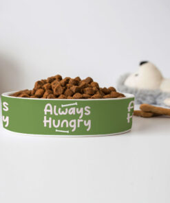 Always Hungry Pet Bowl - Funny Dog Bowl - Best Design Pet Food Bowl 13 » Pets Impress