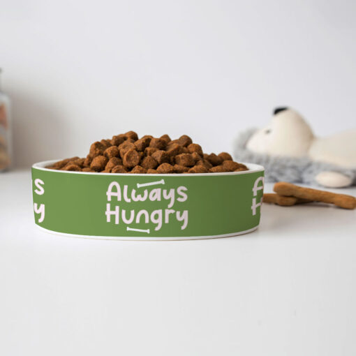 Always Hungry Pet Bowl - Funny Dog Bowl - Best Design Pet Food Bowl 7 » Pets Impress