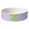 I Am Not Lazy Pet Bowl - Quote Dog Bowl - Themed Pet Food Bowl 14 » Pets Impress
