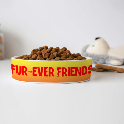 Cute Kawaii Pet Bowl - Trendy Dog Bowl - Printed Pet Food Bowl 4 » Pets Impress