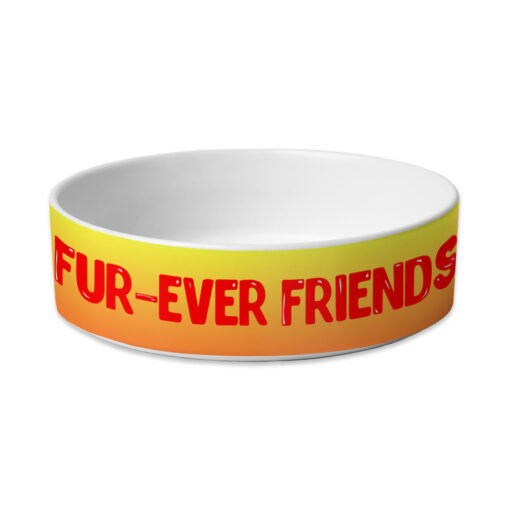 Cute Kawaii Pet Bowl - Trendy Dog Bowl - Printed Pet Food Bowl 2 » Pets Impress