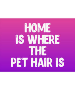 Home of PetsImpress (dogs, cats, pets impress) 5 » Pets Impress