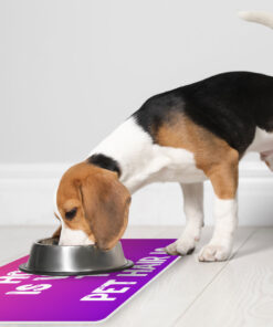 Cool Design Pet Food Mat - Cute Print Anti-Slip Pet Bowl Mat - Cool Trendy Pet Feeding Mat 12 » Pets Impress
