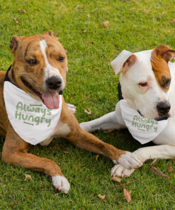 Always Hungry Pet Bandana Collar - Funny Scarf Collar - Best Design Dog Bandana 5 » Pets Impress
