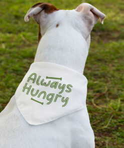 Always Hungry Pet Bandana Collar - Funny Scarf Collar - Best Design Dog Bandana 13 » Pets Impress