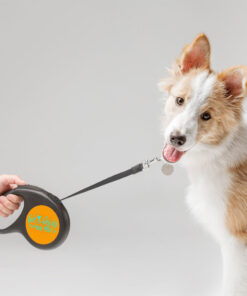 Life Is Better With Pets Retractable Pet Leash - Kawaii Leash - Printed Dog Leash 9 » Pets Impress