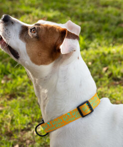 Life Is Better With Pets Pet Collar - Kawaii Dog Collar - Printed Dog Collar 7 » Pets Impress