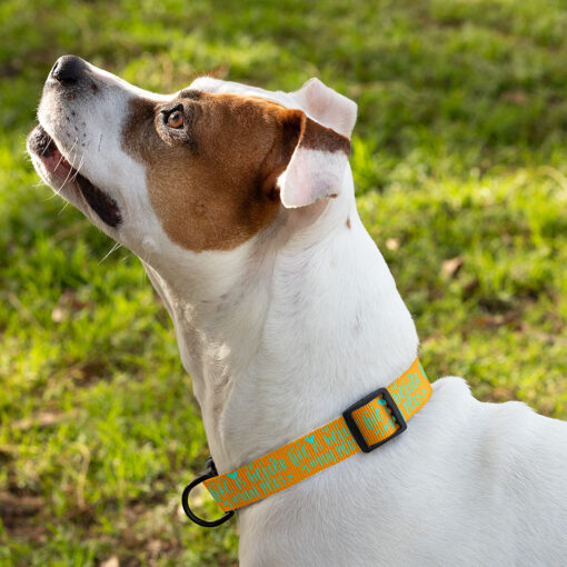 Life Is Better With Pets Pet Collar - Kawaii Dog Collar - Printed Dog Collar 3 » Pets Impress