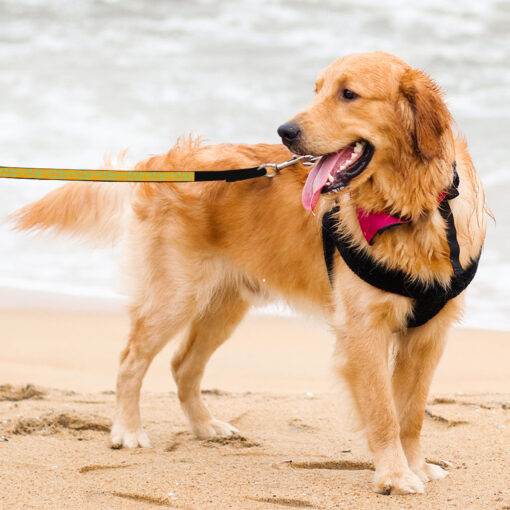 Life Is Better With Pets Pet Leash - Kawaii Leash - Printed Leash for Dogs 5 » Pets Impress