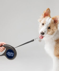 Adopted Retractable Pet Leash - Cute Leash - Trendy Dog Leash 9 » Pets Impress