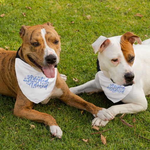 Trendy Pawsome Pet Scarf Collar 3 » Pets Impress