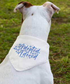 Trendy Pawsome Pet Scarf Collar 6 » Pets Impress